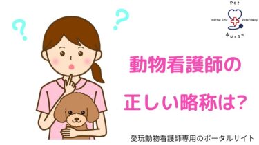 動物病院が忙しくなる時期はいつ