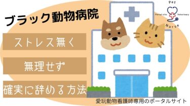 ブラック動物病院 をストレスなく辞める方法