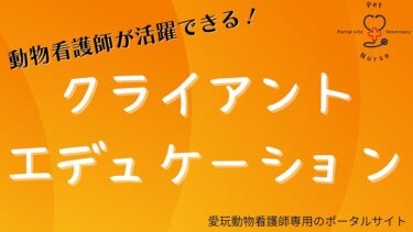 保存版 動物看護師の面接対策 気を付けるべきポイントや例文も Pvnportal 愛玩動物看護師ポータル